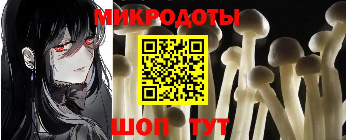 Черкесск  как найти закладки  Вход с VPN  Псилоцибиновые грибы Cubensis 