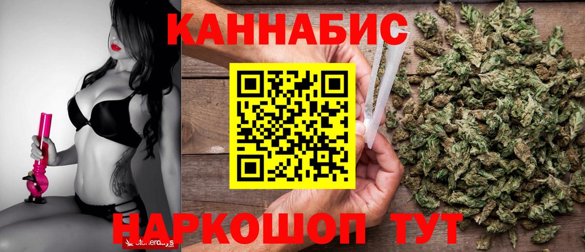 Канабис сатива Черкесск